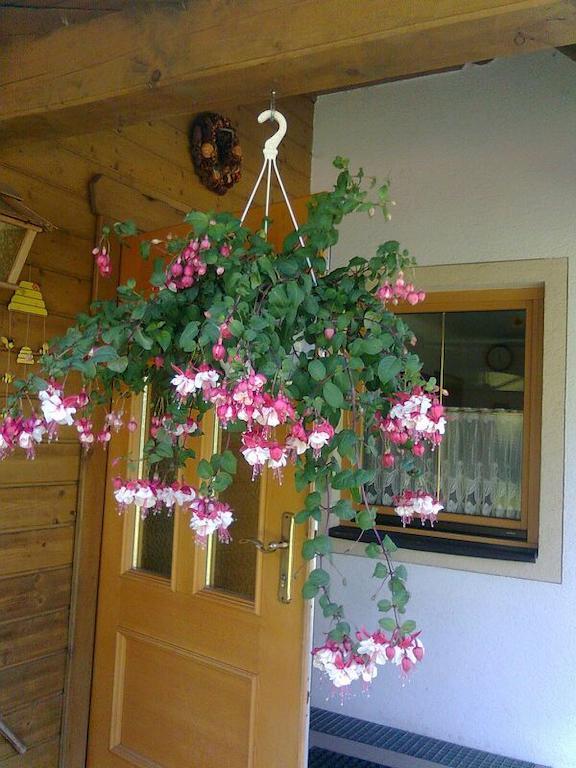 Appartement Pension Grasser 바트키르히하임 외부 사진